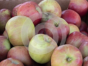 Fresh autumn red and yellow apples background