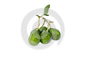 Fresh avocado group with clipping path on white background