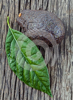 Fresh avocado with leaf put on wooden board