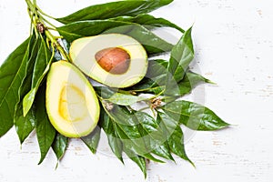 Fresh avocado palta with leaves, wooden white background