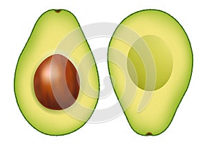 Fresh Avocado With White Background