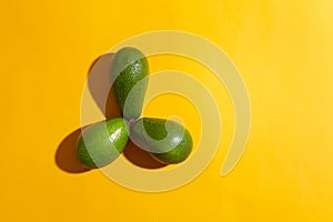 Fresh avocados on color background