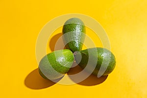 Fresh avocados on color background