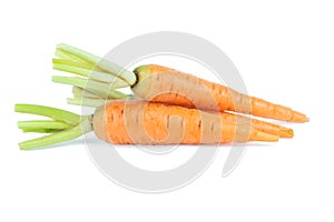 Fresh baby carrot isolated on white background with clipping path