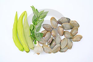 Fresh baby clams or venus shell and ingredient prepared materials for cooking on white background