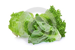 Fresh baby cos, frillice and iceberg green lettuce isolated
