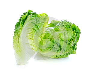 Fresh baby cos (lettuce)