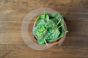 Fresh baby spinach leaves