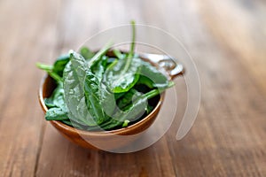 Fresh baby spinach leaves