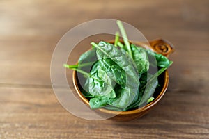 Fresh baby spinach leaves