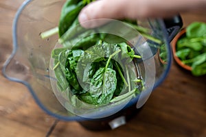 Fresh baby spinach leaves