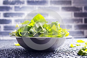 Fresh baby spinach leaves in bowl on stone background