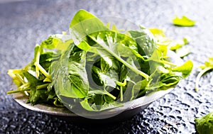 Fresh baby spinach leaves in bowl on stone background
