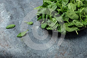 Fresh baby spinach leaves. Pile of fresh green baby spinach leaves, banner, menu, recipe place for text, top view