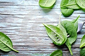 Fresh Baby spinach leaves skewered on a fork, blue wooden background. Top view with copy space, horizontal. Healthy