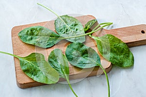 Fresh Baby Spinach Leaves on Wooden Board