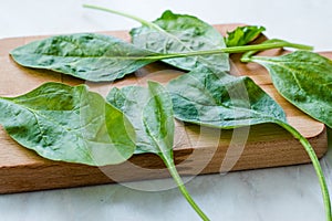 Fresh Baby Spinach Leaves on Wooden Board