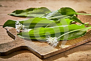 Fresh baerlauch or wild garlic on a chopping board