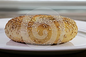 Fresh bagel with seeds on plate