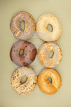 Fresh bagels with sesame and poppy seeds. Variety of assorted New York style Bagels