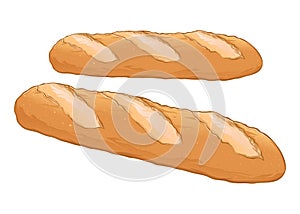 Fresh Baguette Bread Hand Drawn