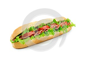 Fresh baguette sandwich with vegetables and salami