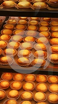 Fresh bake egg tarts.