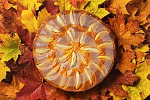 Fresh baked apple pie and autumn leaves