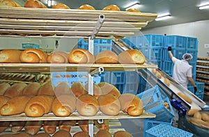 Fresh baked bread in bakery