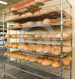 Fresh Baked Bread on Rack