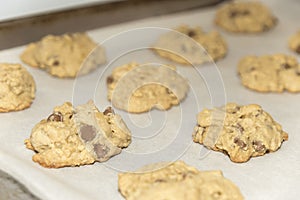 Fresh baked chocolate chip cookies fresh out of the oven on a ba