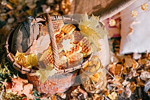 Fresh baked cookies in a basket. autumn forest