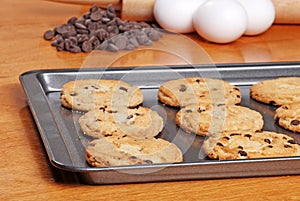 Fresh baked cookies on a cookie sheet