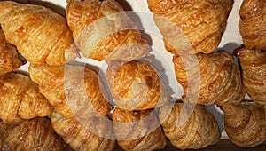 Fresh Baked Croissants. Warm Fresh Buttery Croissants and Rolls. French and American Croissants and Baked Pastries Fresh Baked