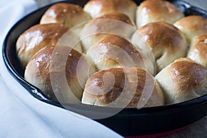 Fresh baked dinner rolls in cast iron pan