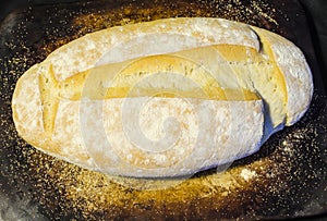 Fresh Baked Feench Bread