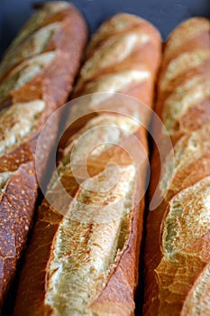 Fresh Baked French Loaves for Sale.