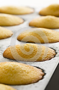 Fresh baked French madeleines