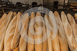 Fresh baked goods bakery loaf baguette bread background