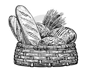 Breads and ears of wheat sketch. Fresh baked goods in basket, vintage illustration