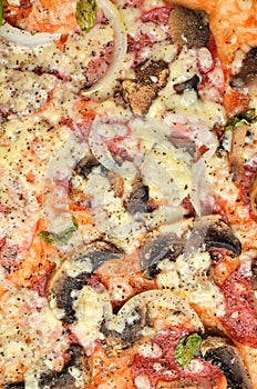 Fresh baked homemade pizza with mushrooms, onions, Gouda cheese, basil, oregano and tomato sauce. Macro. Vertical photo.