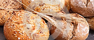 Fresh baked homemade rolls with seeds and ears of rye or wheat grain