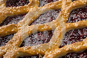 Fresh baked Limburg cherry vlaai