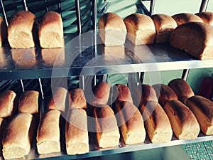 Fresh baked loaves of bread in old Malaysia bakery