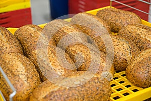 Fresh baked loaves of multigrain bread set out to cool