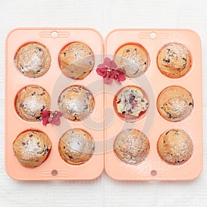 Fresh baked muffins or cupcakes in pink silicone baking tins