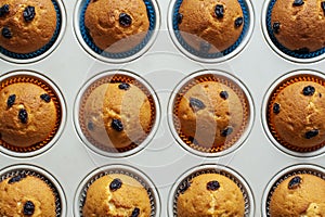 Fresh baked muffins in a oven tray, top view