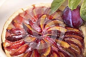 Fresh baked organic stone fruit plum pie