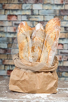 Fresh baked rustic bread loaves in paper bags