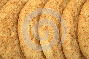 Fresh baked snickerdoodle cookies in a row